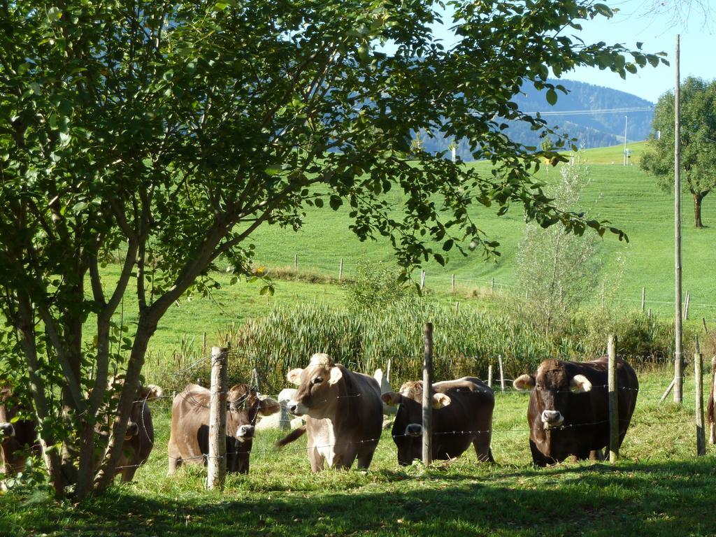 Haus Alpenhof Immenstadt im Allgäu Exterior foto